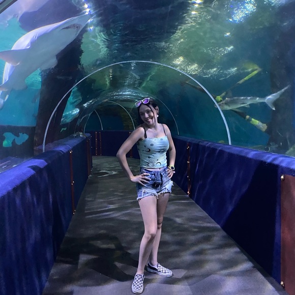 Meet your Posher, Joey - Picture 2 of 3